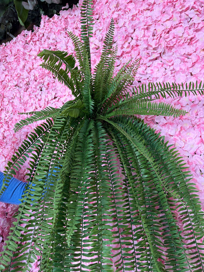 51 Inch Boston Fern Bush