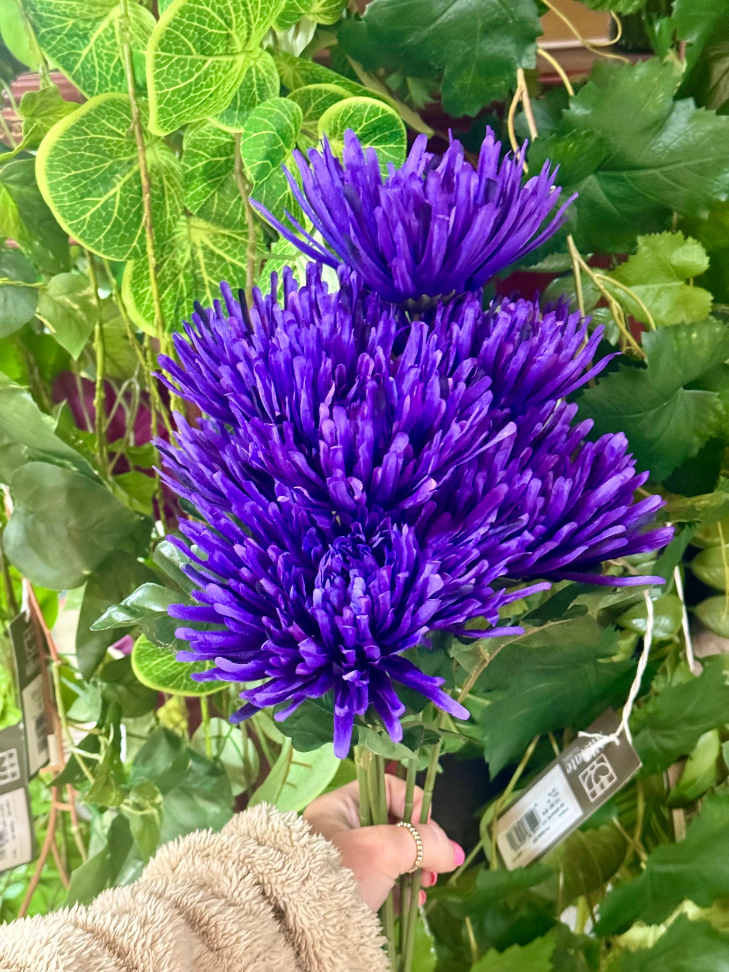 24 Inch Purple Fuji Mum Bush