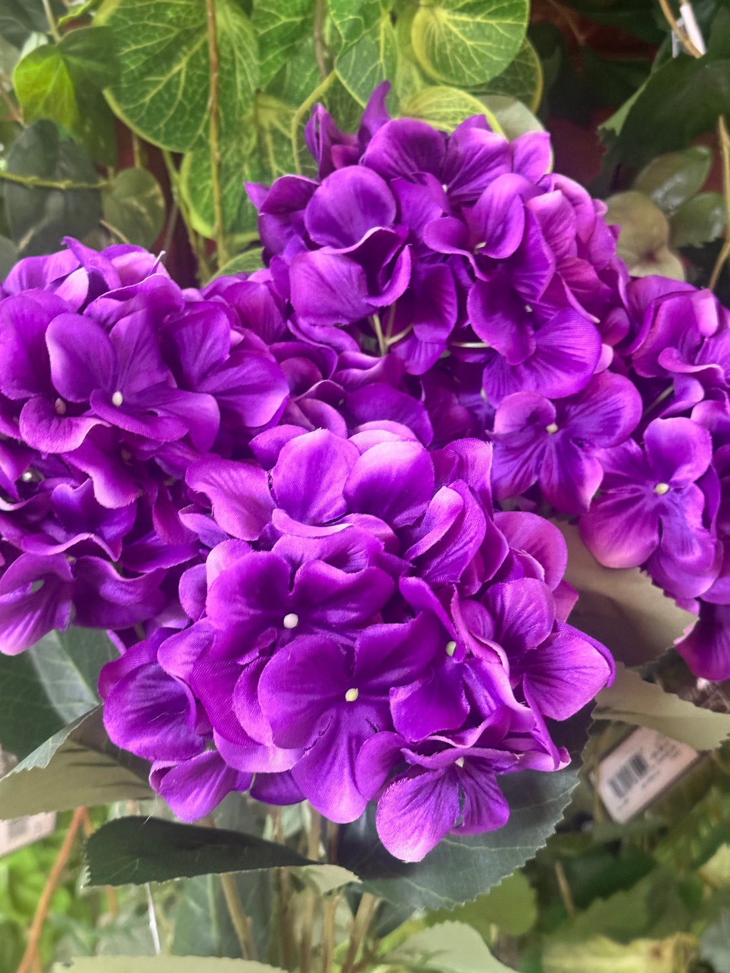 20.5 Inch Purple Hydrangea Bush