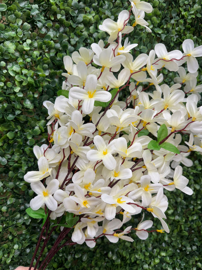24 Inch Cream Tweedia Bush