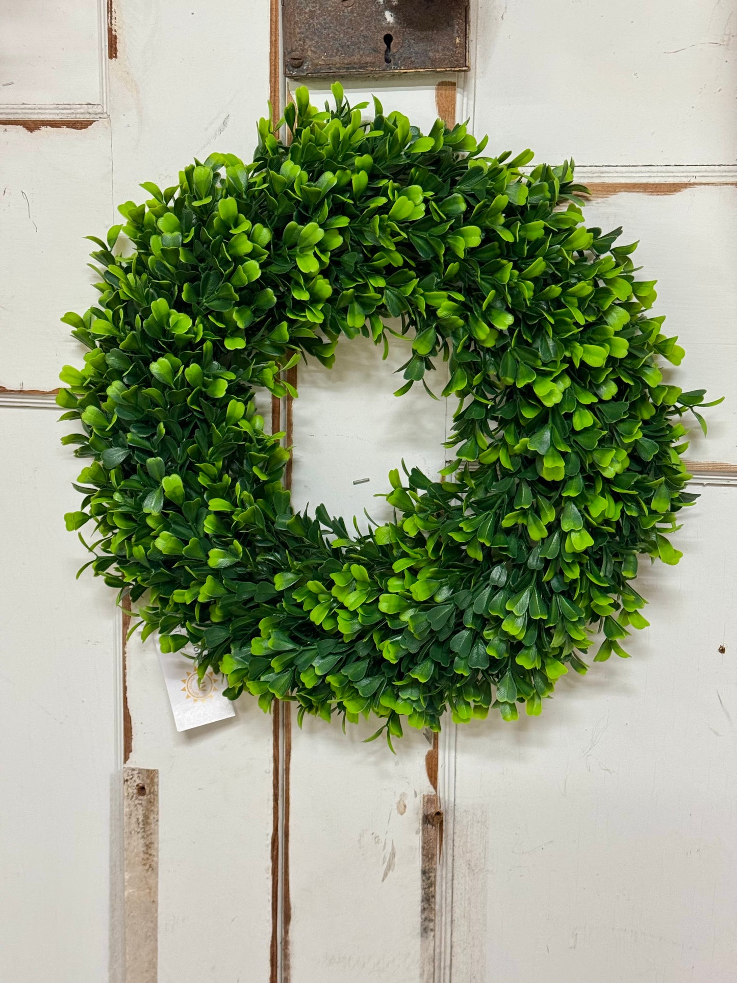 16 Inch Green Round Boxwood Wreath