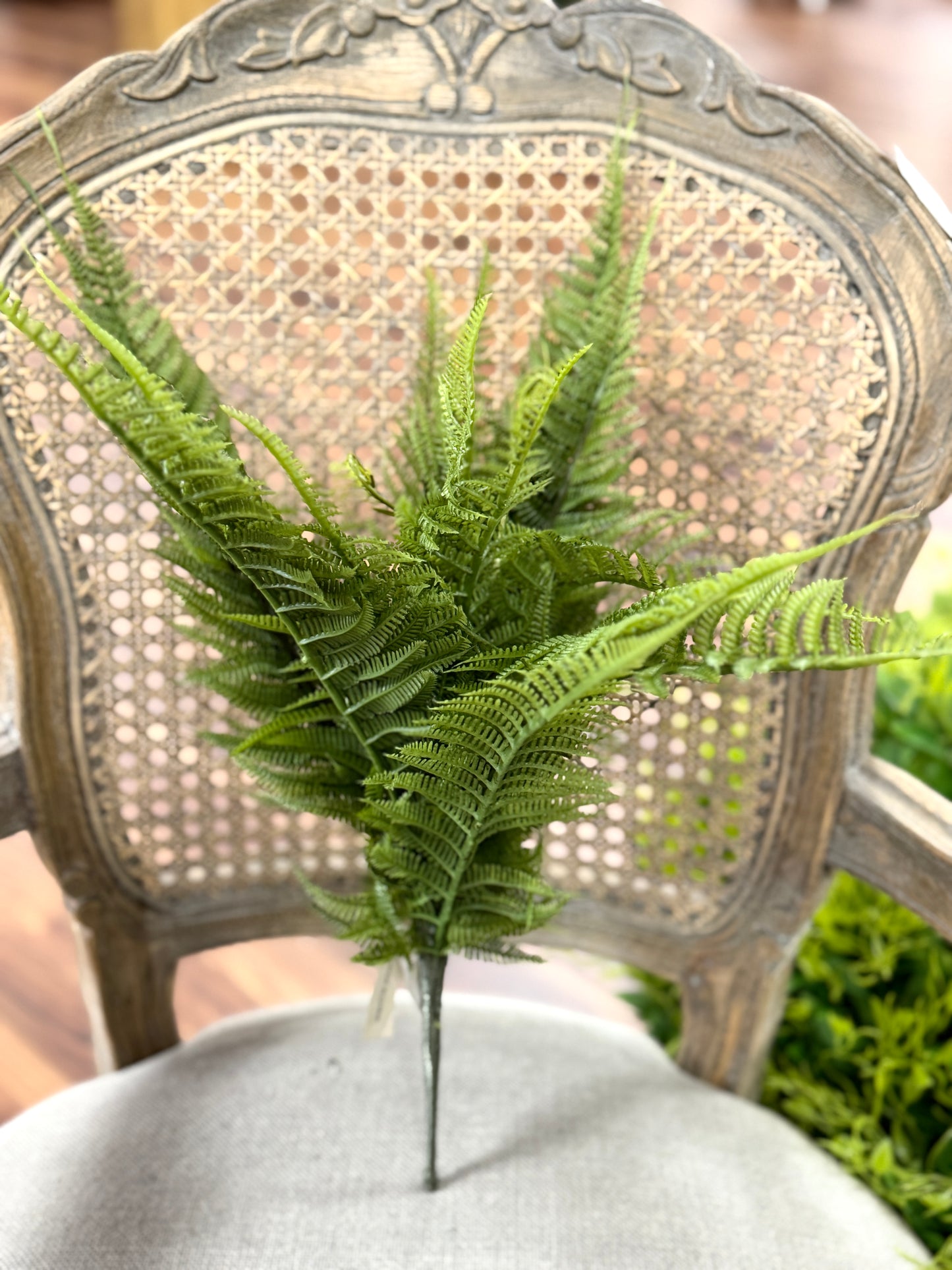 18 Inch Mountain Fern Bush