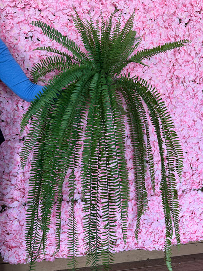51 Inch Boston Fern Bush
