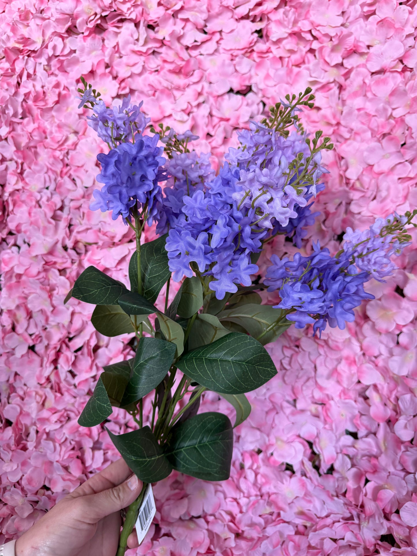 23 Inch Lilac Bush