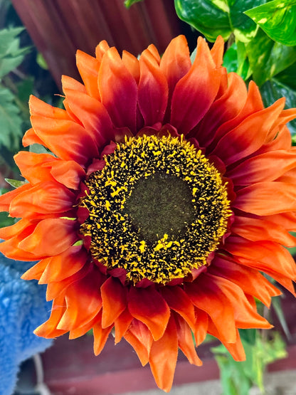 33 Inch Burnt Orange And Burgundy Sunflower Stem