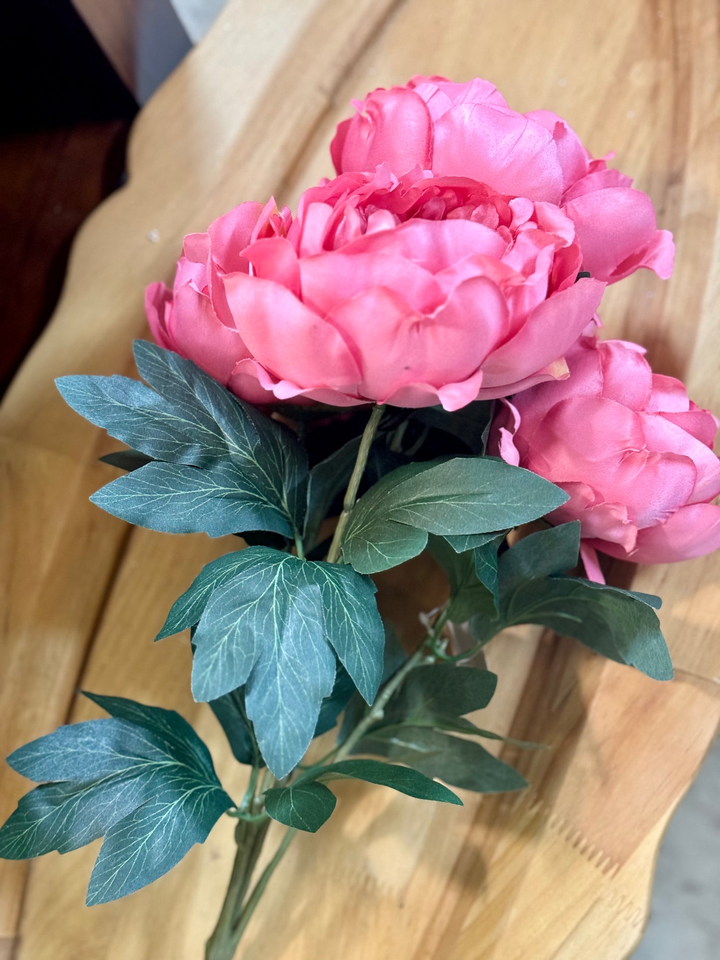 20 Inch Watermelon Pink Peony Bush