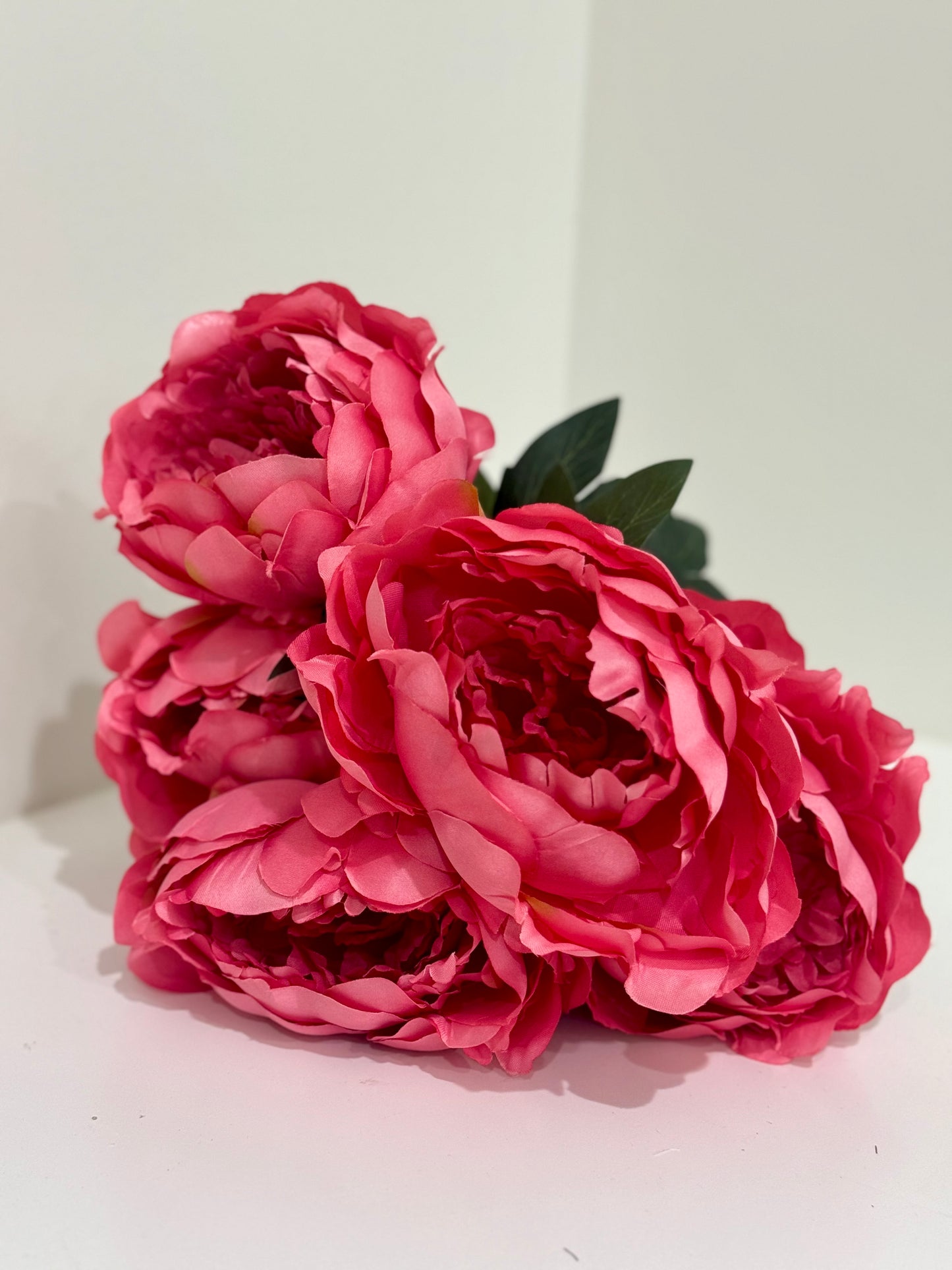 20 Inch Watermelon Pink Peony Bush