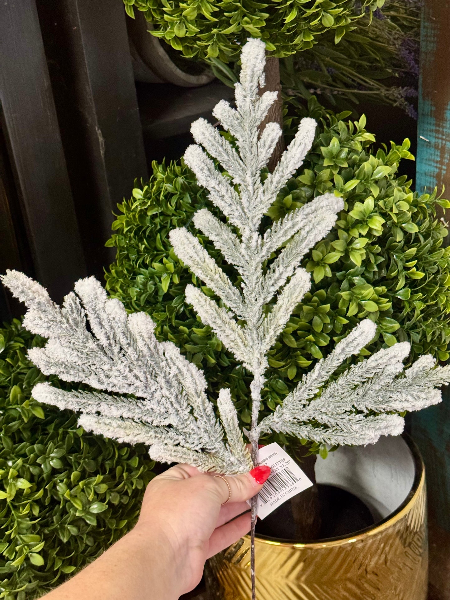 25 Inch Flocked Snow Glitter Norfolk Pine Spray