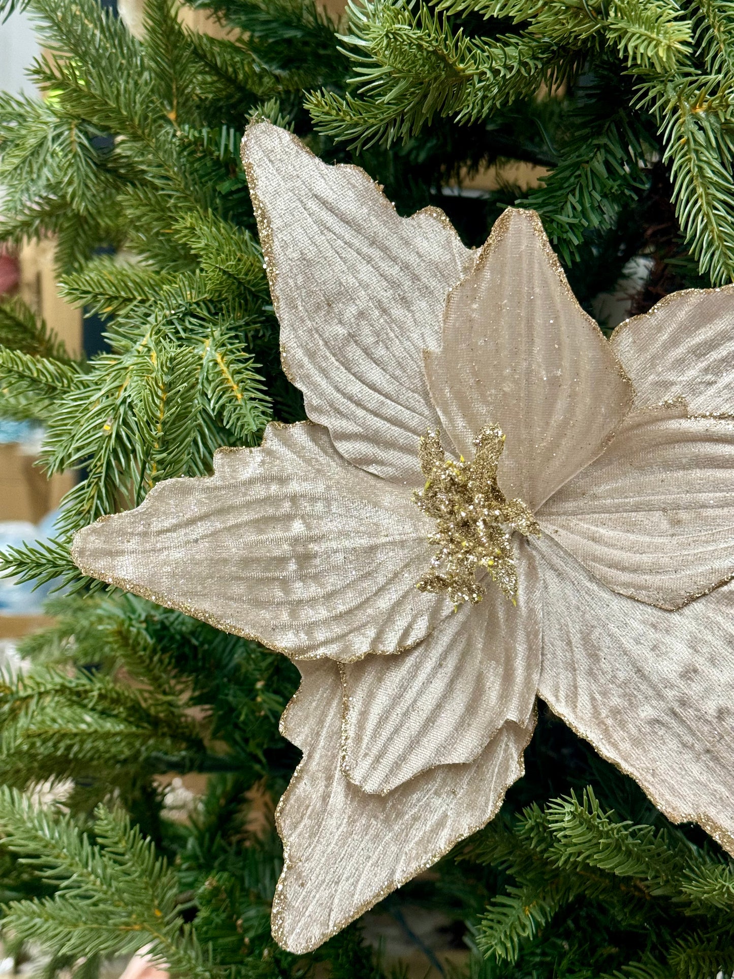 15.5 Inch Champagne Textured Poinsettia Stem