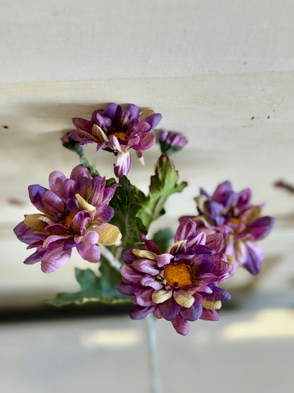 24 Inch Purple Marigold Daisy Stem