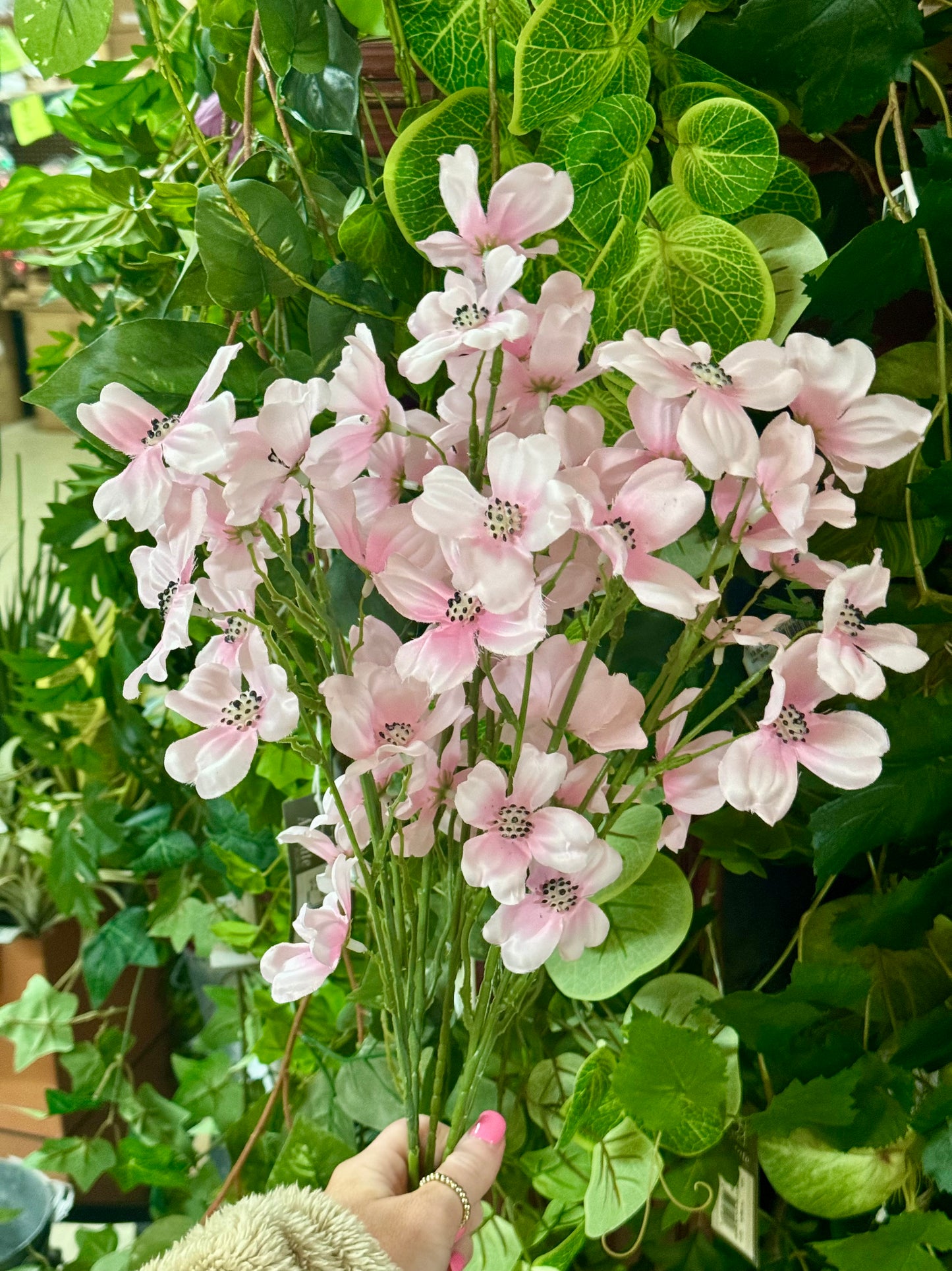 22 Inch Pink Dogwood Bush