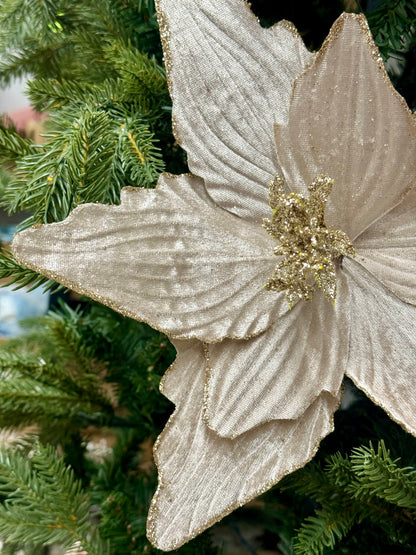 15.5 Inch Champagne Textured Poinsettia Stem