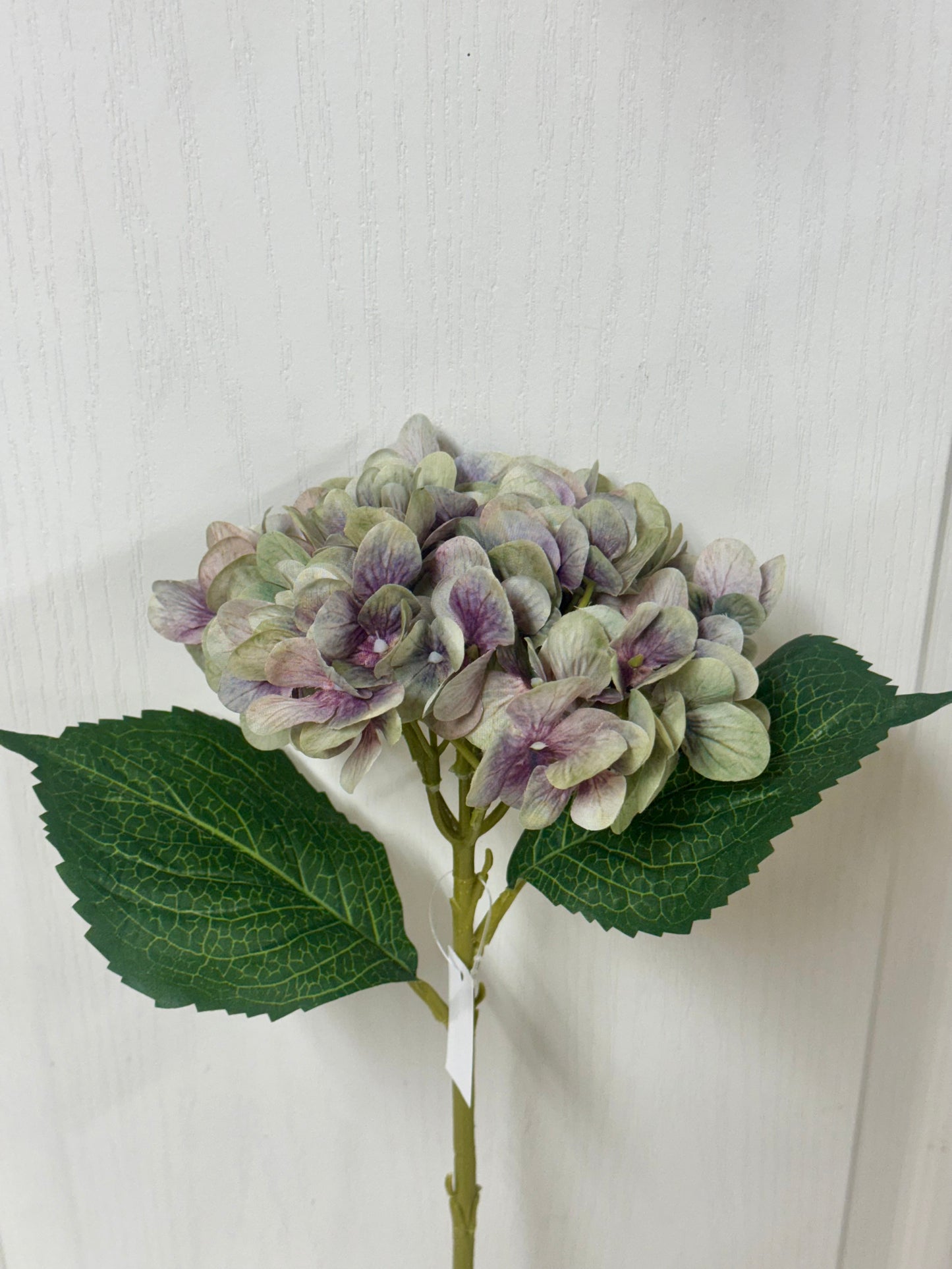 18 Inch Green And Lavender Hydrangea Stem