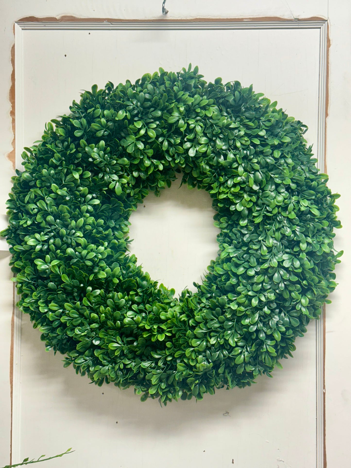 22 Inch Green Round Boxwood Wreath