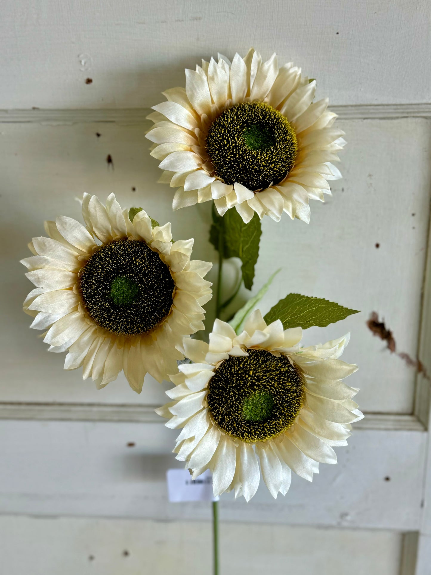 25 Inch Sunset Meadows Cream Sunflower Stem