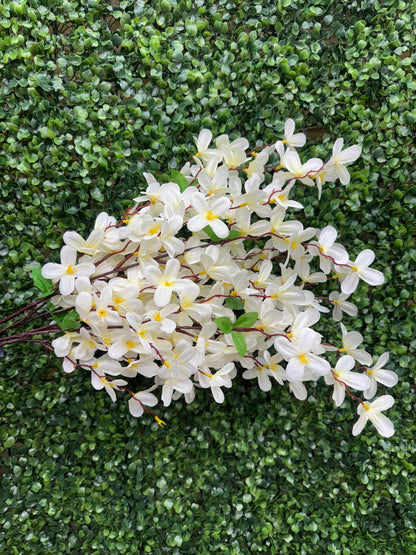 24 Inch Cream Tweedia Bush
