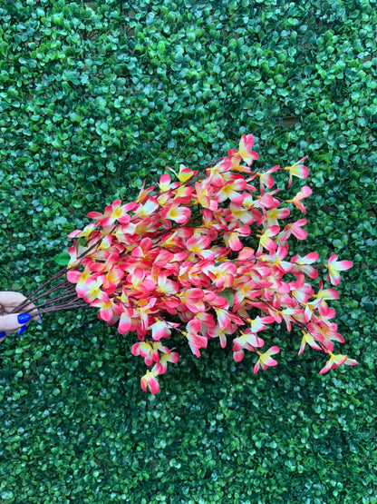 24 Inch Pink And Yellow Tweedia Bush