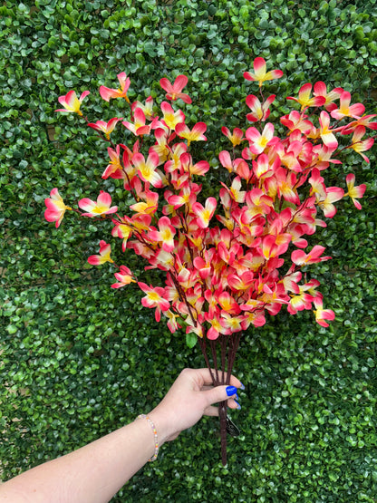 24 Inch Pink And Yellow Tweedia Bush