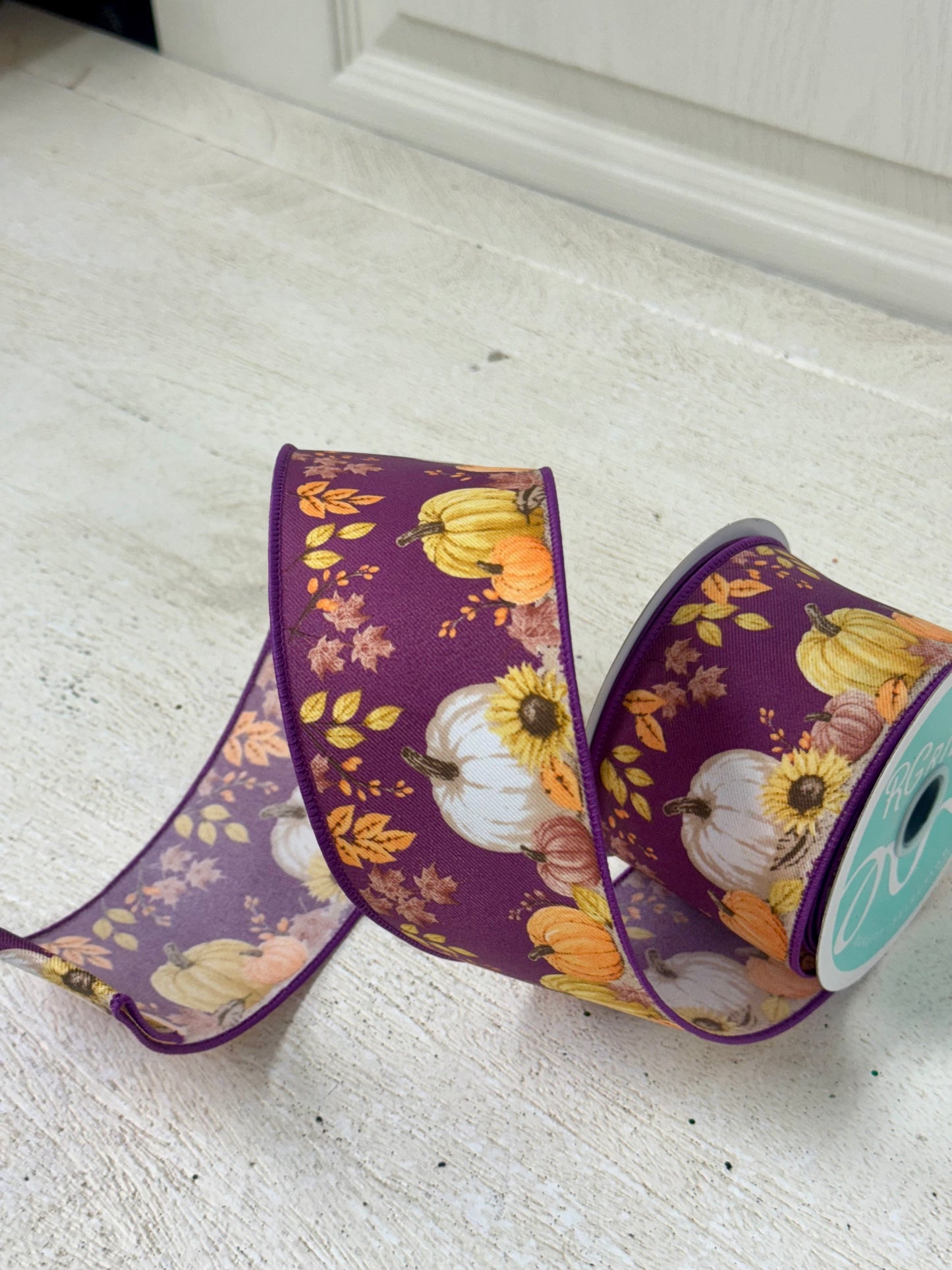 2.5 Inch By 10 Yard Pumpkins Foliage Ribbon