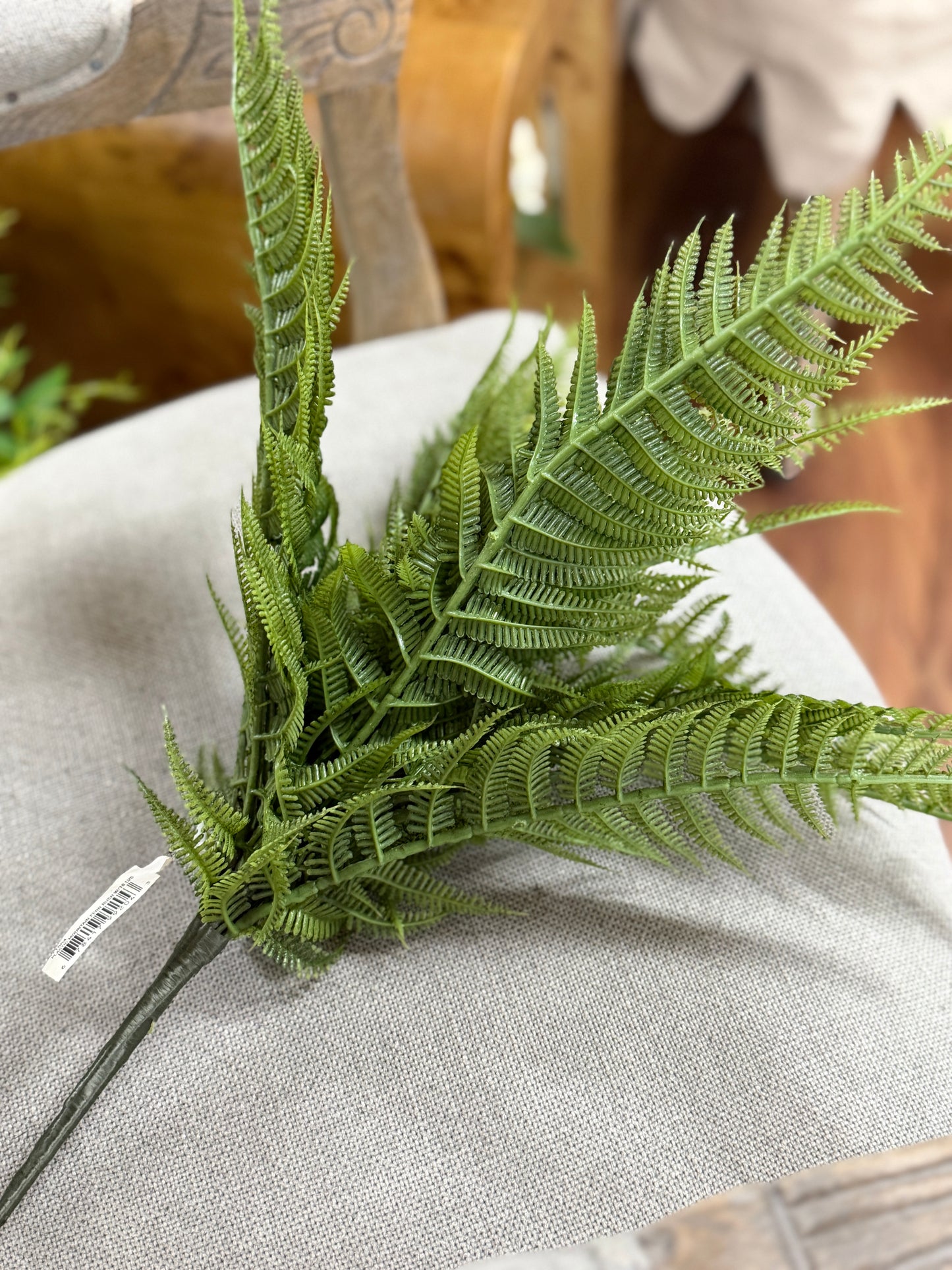 18 Inch Mountain Fern Bush