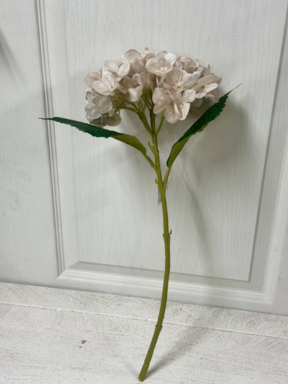 18 Inch Beige Hydrangea Stem