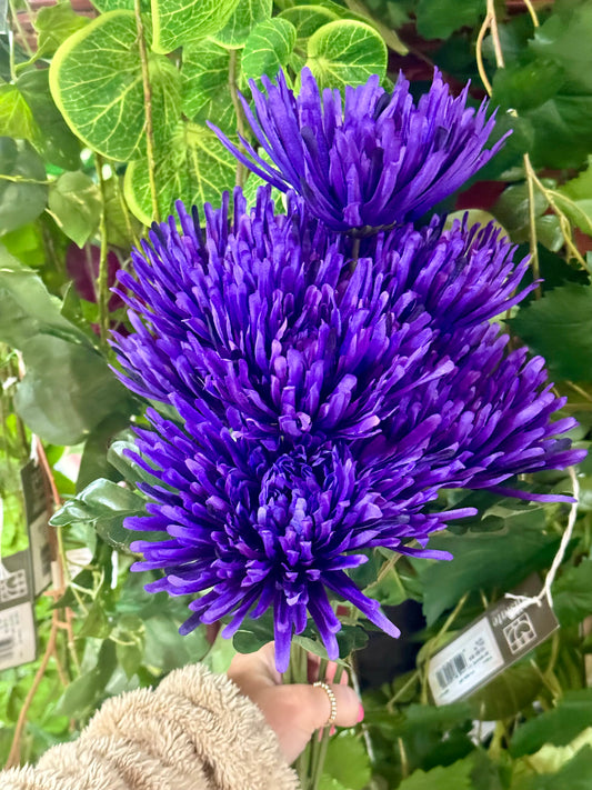 24 Inch Purple Fuji Mum Bush