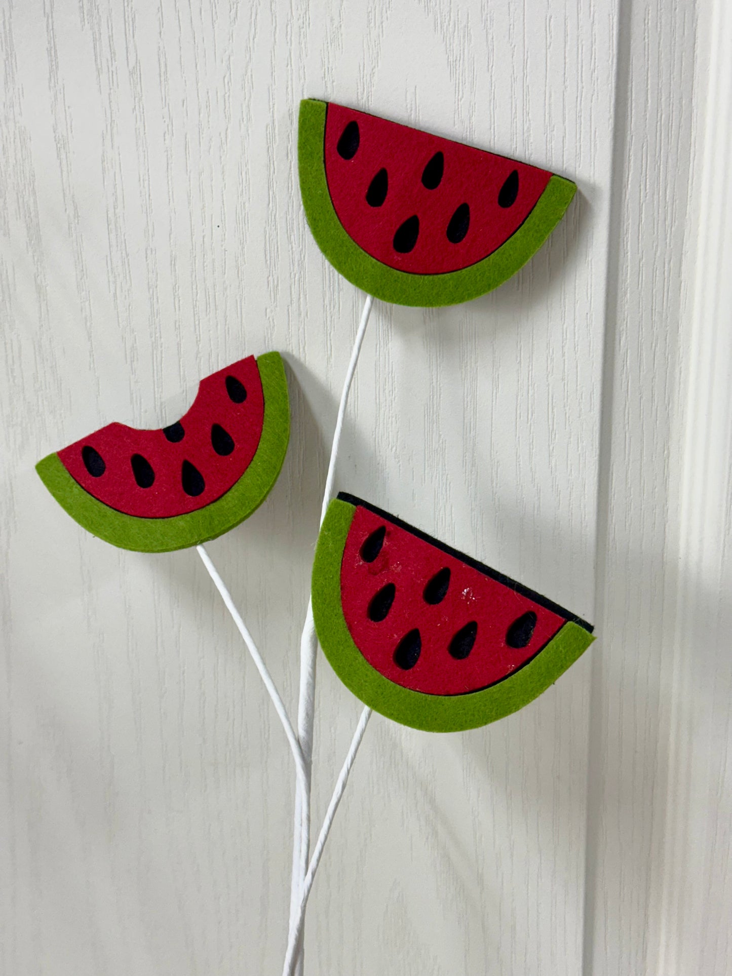 23.5 Inch Watermelon Felt Spray