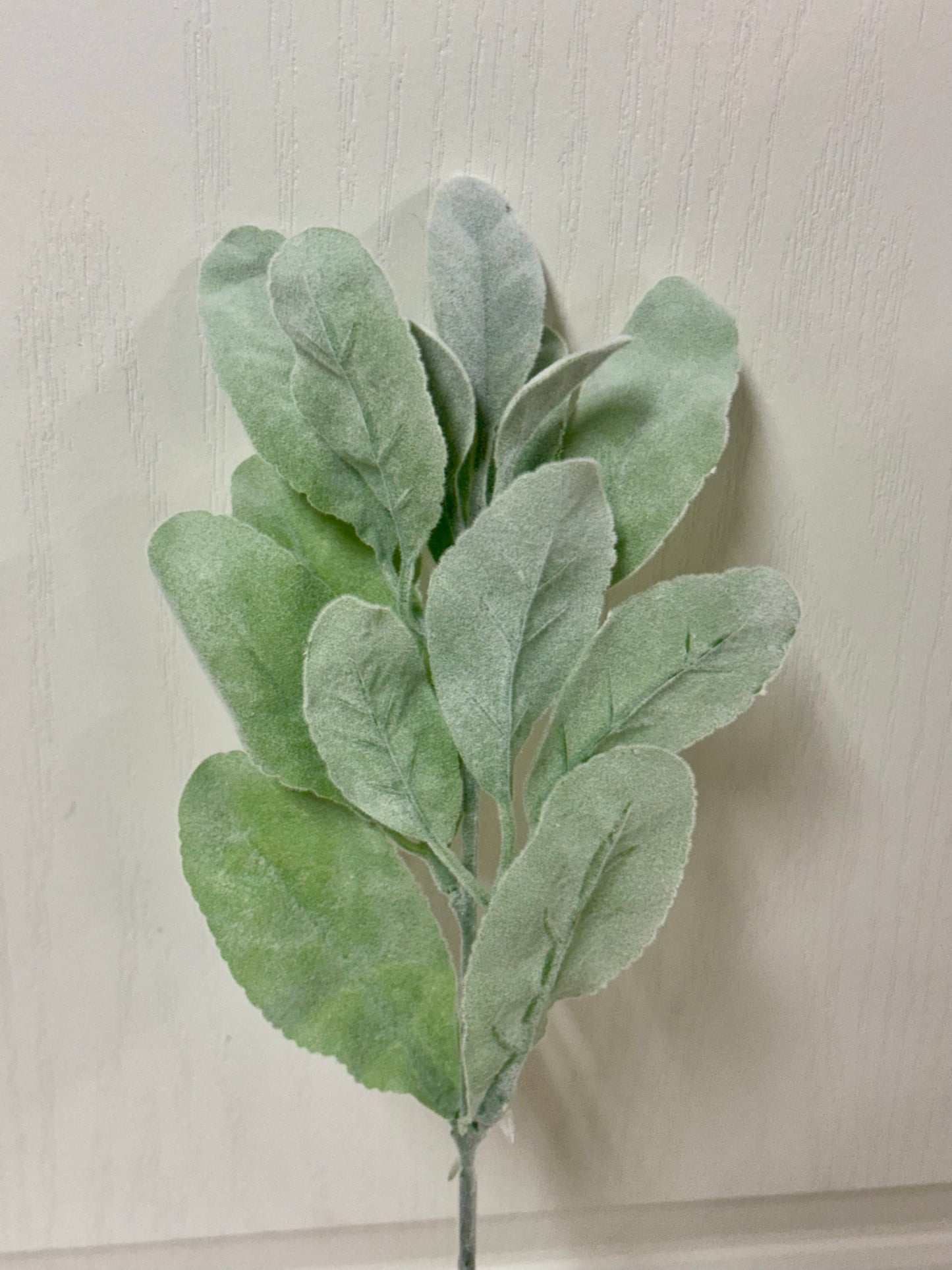 14 Inch Sage Green Flocked Lambs Ear Spray