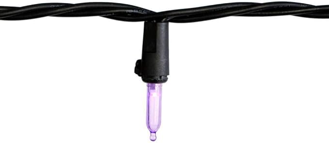 Home Accents Holiday Purple Mini LED Lights Open Box