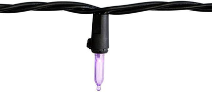 Home Accents Holiday Purple Mini LED Lights Open Box