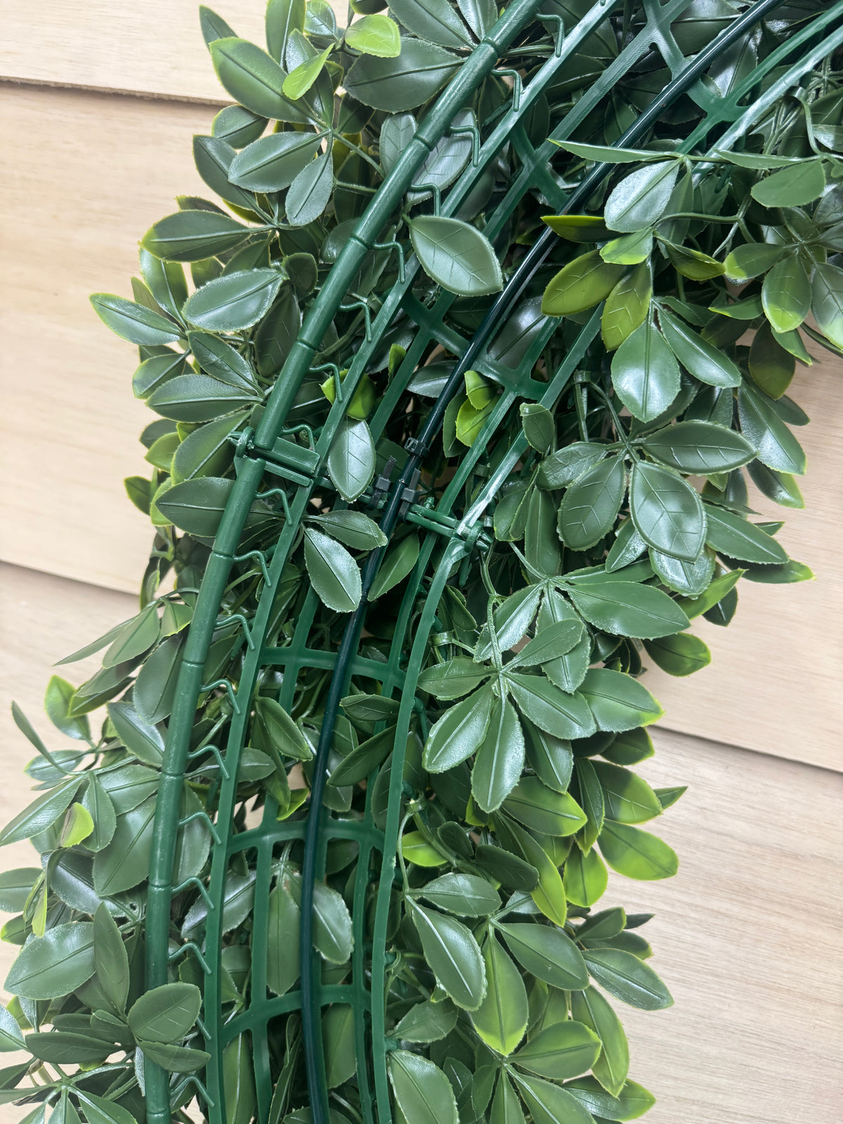 30 Inch Schefflera Oval Wreath
