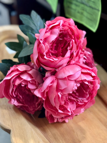 20 Inch Watermelon Pink Peony Bush