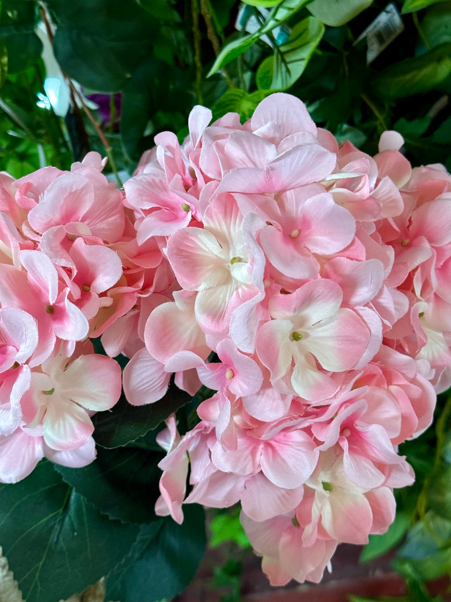 20.5 Inch Pink Hydrangea Bush