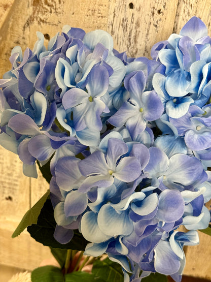 20.5 Inch Blue Hydrangea Bush