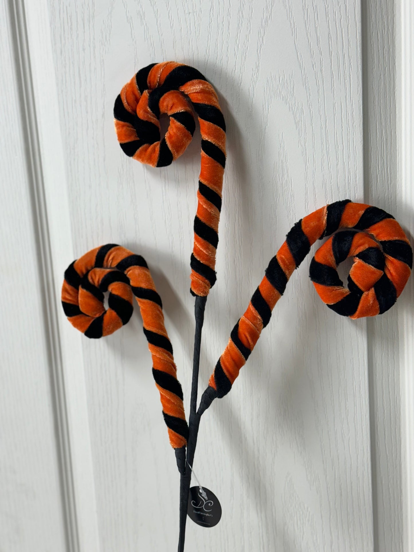 28 Inch Velvet Black And Orange Whimsy Curly Spray