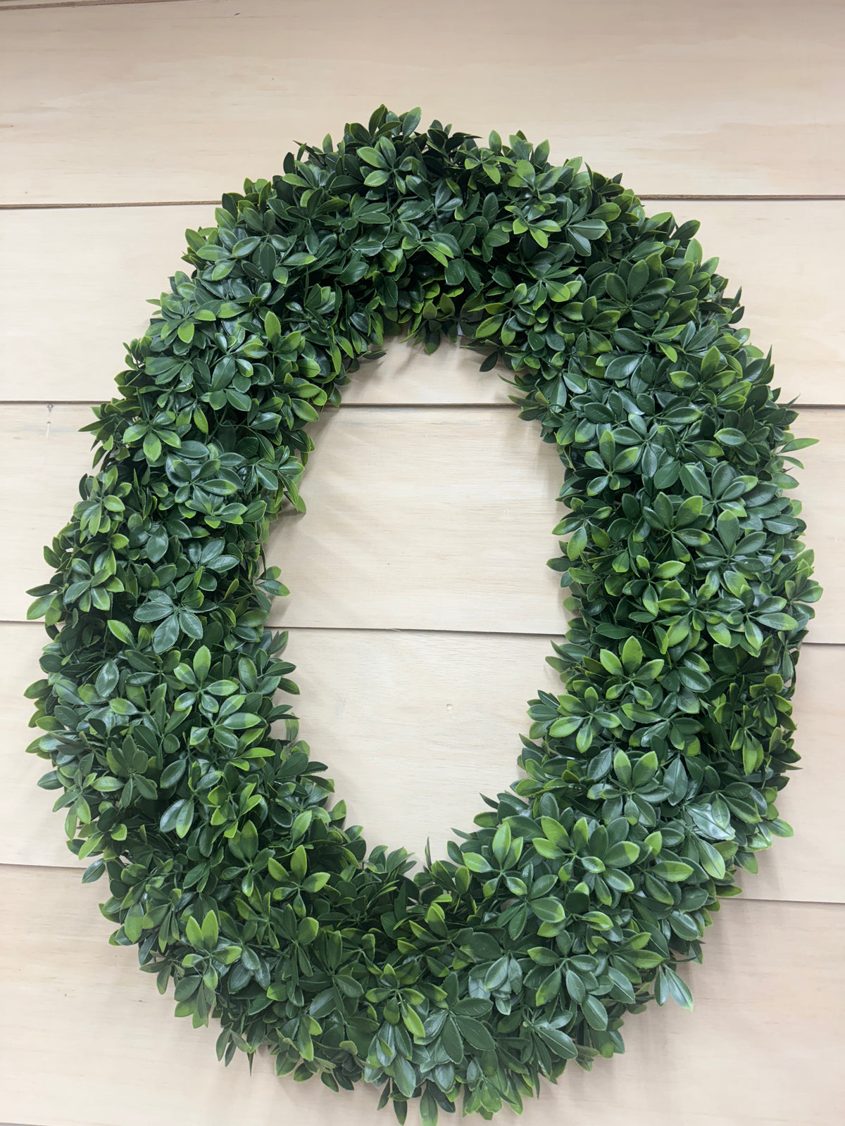 30 Inch Schefflera Oval Wreath
