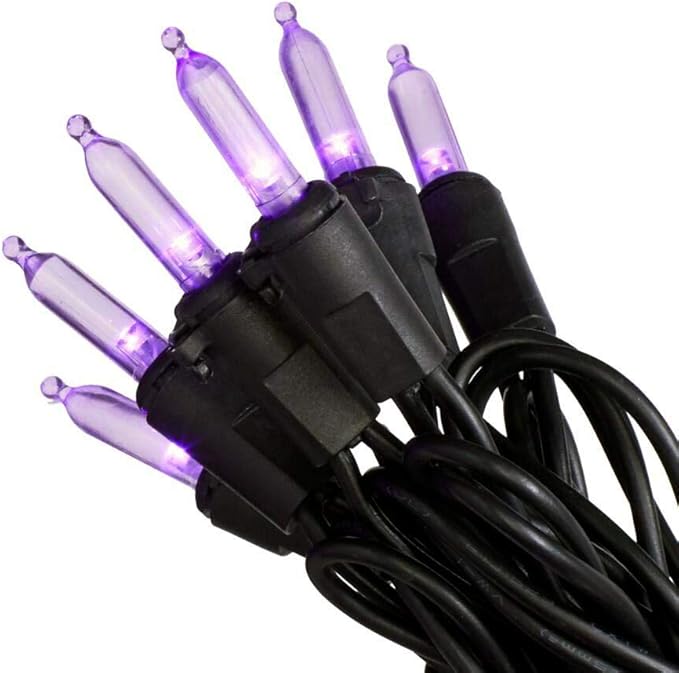 Home Accents Holiday Purple Mini LED Lights Open Box
