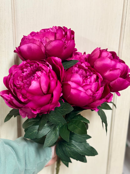 20 Inch Beauty Pink Peony Bush