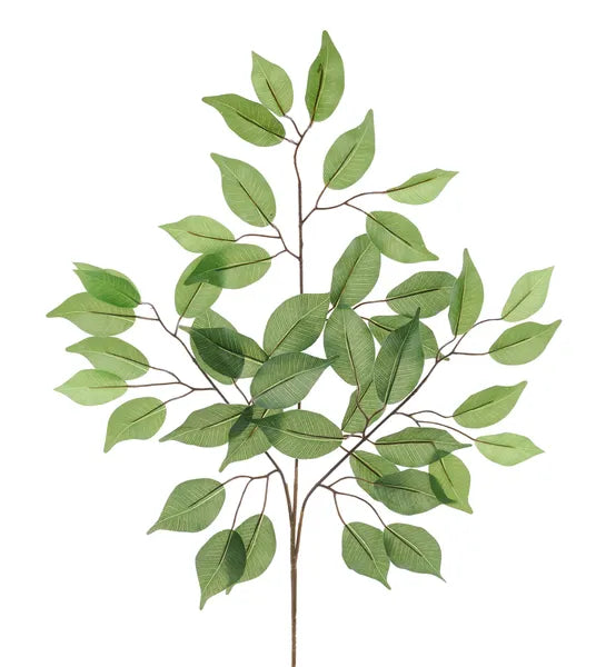23.5 Inch Green Ficus Leaf Spray