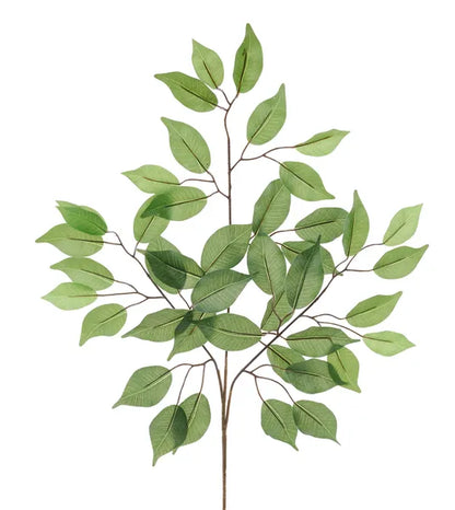 23.5 Inch Green Ficus Leaf Spray