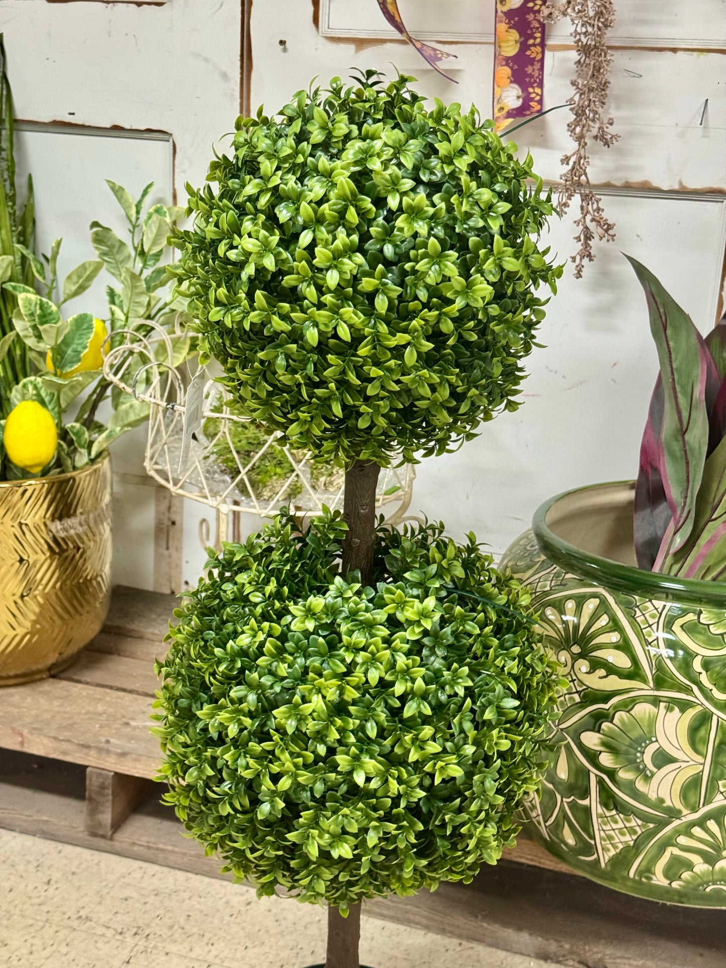 34 Inch Boxwood Topiary Tree