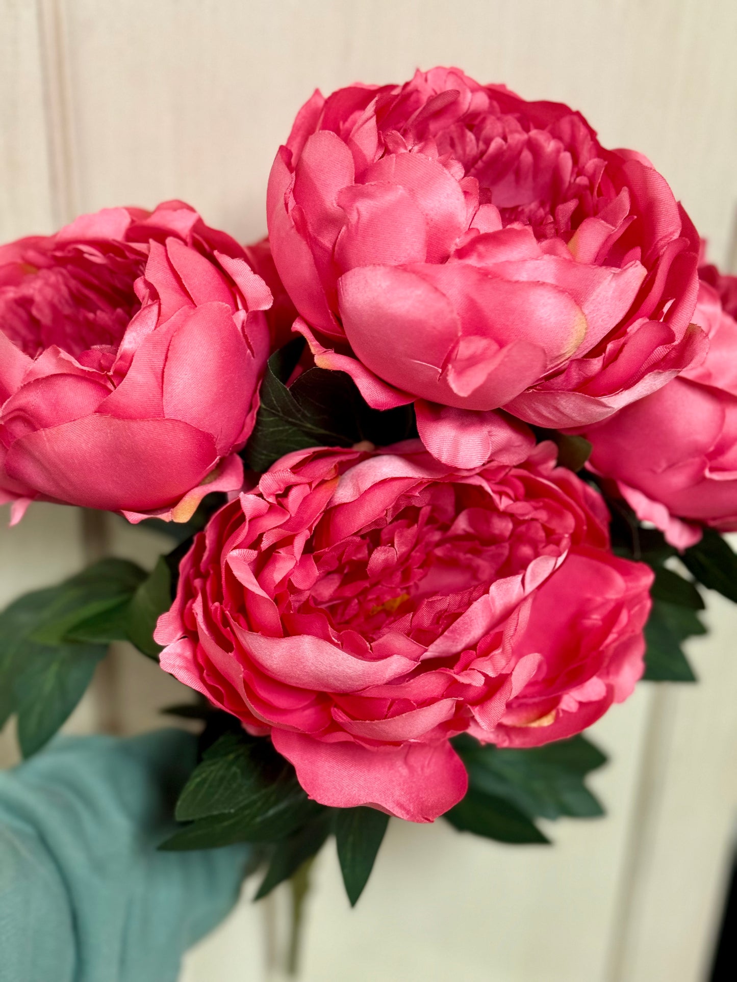 20 Inch Watermelon Pink Peony Bush