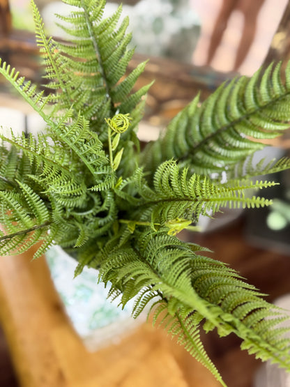 18 Inch Mountain Fern Bush