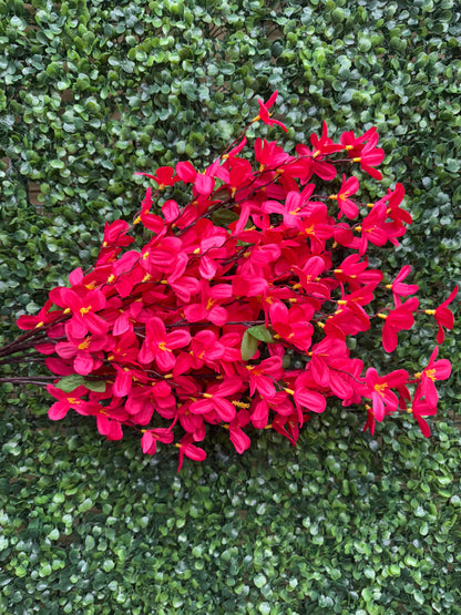 24 Inch Beauty Pink Tweedia Bush
