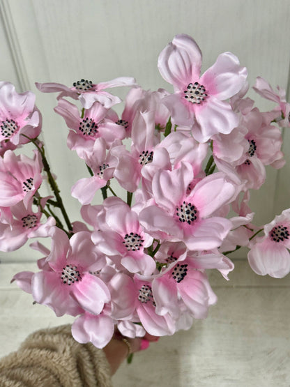 22 Inch Pink Dogwood Bush