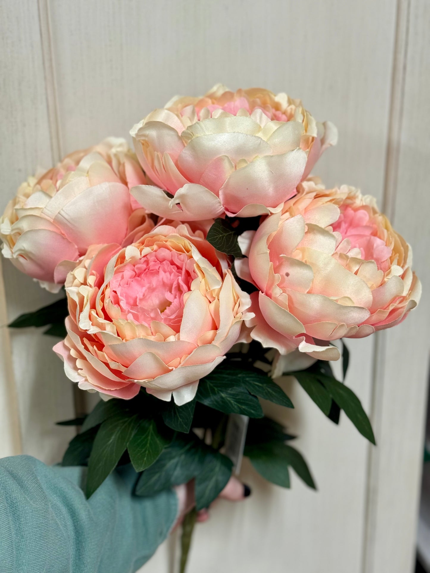 20 Inch Peony Soft Pink Bush