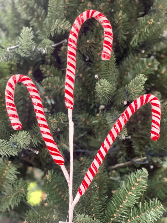 Red And White Candy Cane Spray