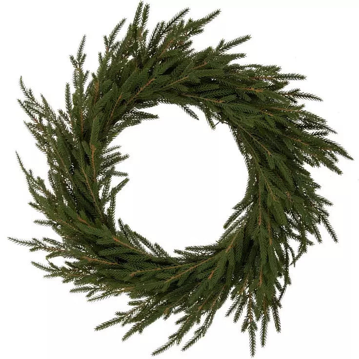 22 Inch Norfolk Pine Wreath