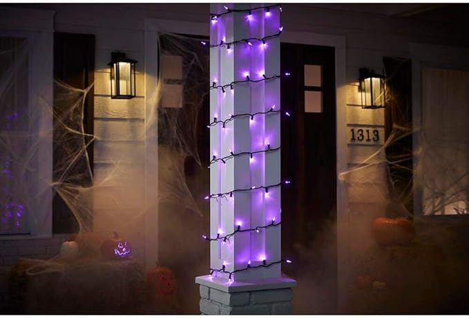 Home Accents Holiday Purple Mini LED Lights Open Box
