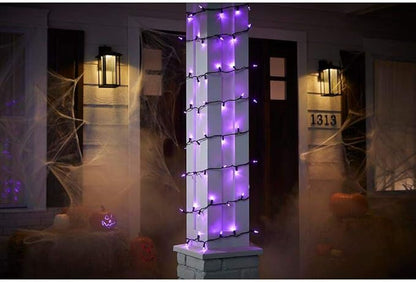 Home Accents Holiday Purple Mini LED Lights Open Box